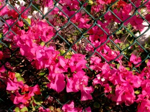 ???????????????????????????????