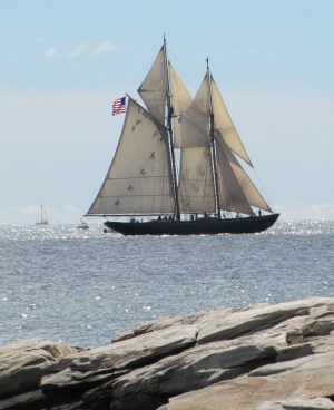 tall ships 039