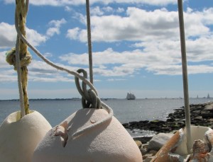 tall ships 041