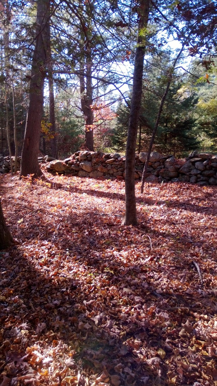 WP_20131028_010 Gilead