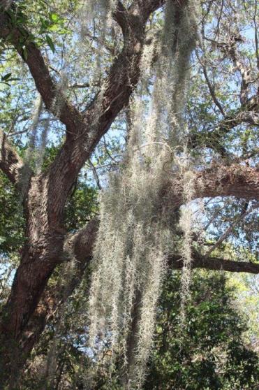 RiverFrontGondolaTours013